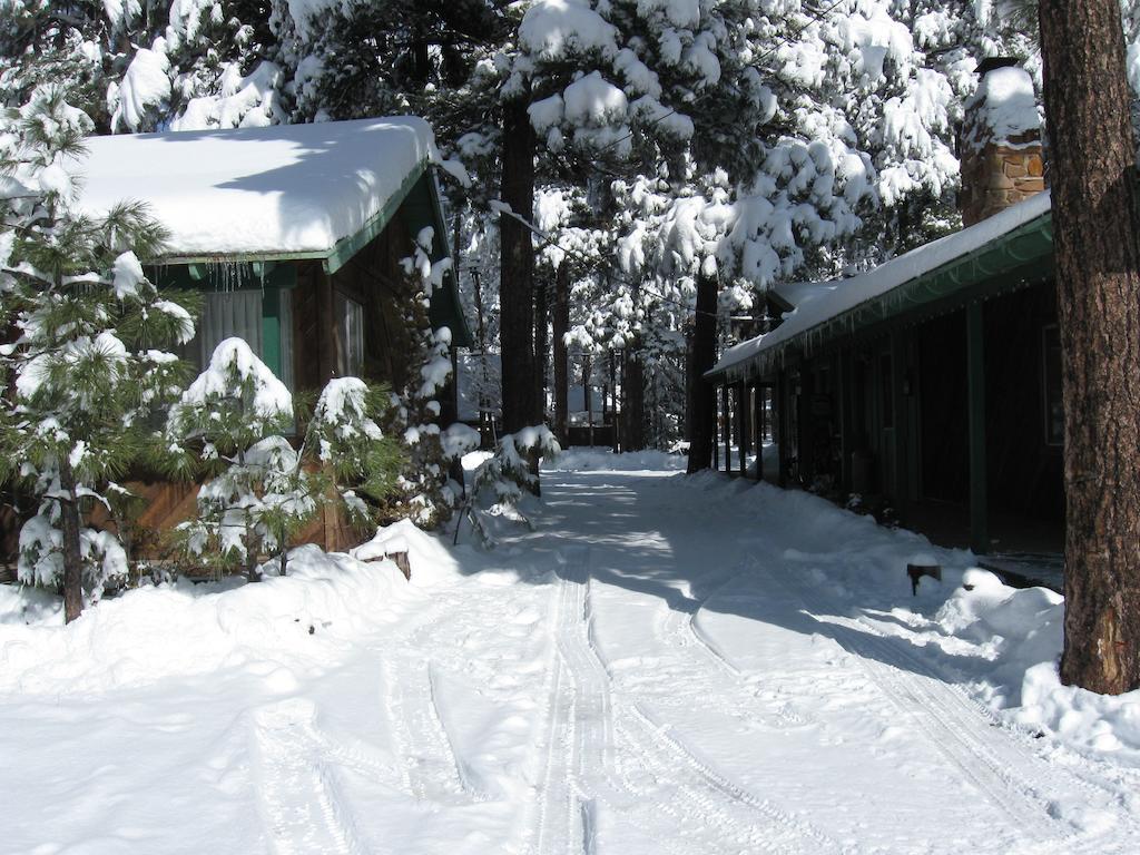 פיינטופ-לייקסייד Timberlodge Inn חדר תמונה