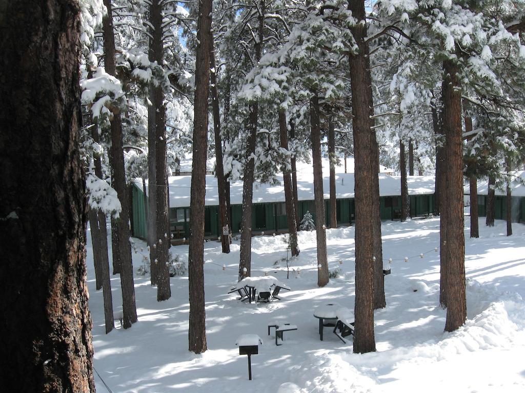 פיינטופ-לייקסייד Timberlodge Inn חדר תמונה