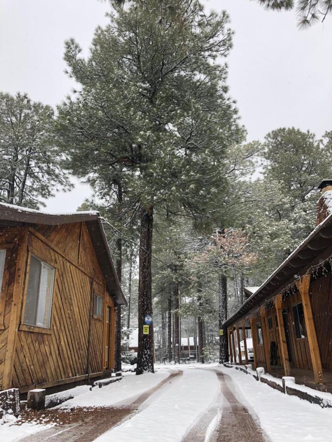 פיינטופ-לייקסייד Timberlodge Inn מראה חיצוני תמונה